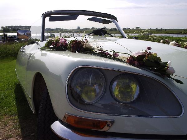 CitroDeLies